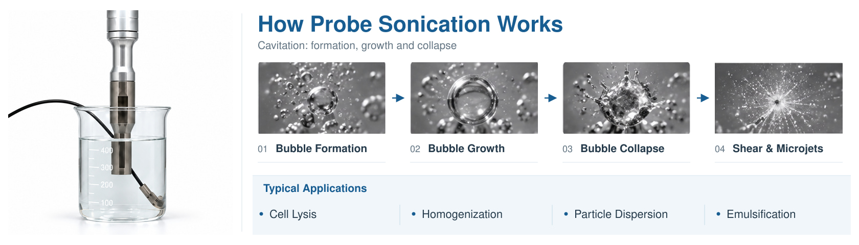 Probe sonication energy transfer and acoustic cavitation: bubble formation, collapse, shear forces and microjets